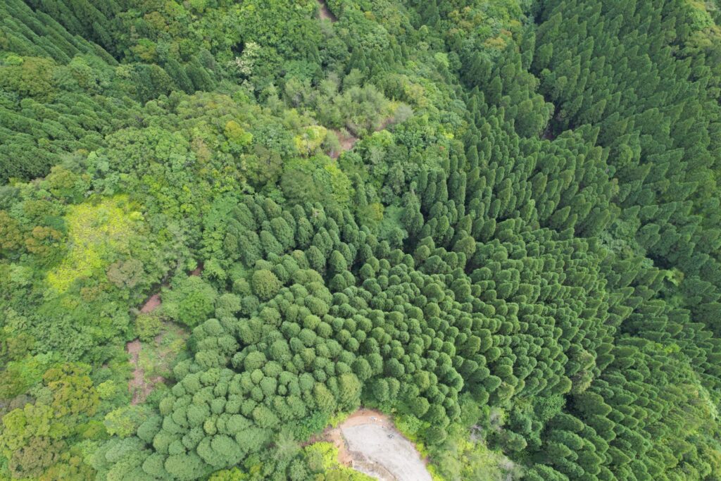 令和４年度森林資源循環利用林道整備事業（開設）峠谷線（３工区）画像1
