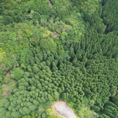 令和４年度森林資源循環利用林道整備事業（開設）峠谷線（３工区）>画像1